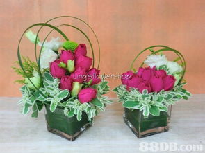 玲玲花店 一站式婚庆花卉解决方案