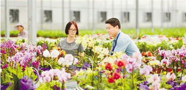 中秋，赴一场鲜花之约