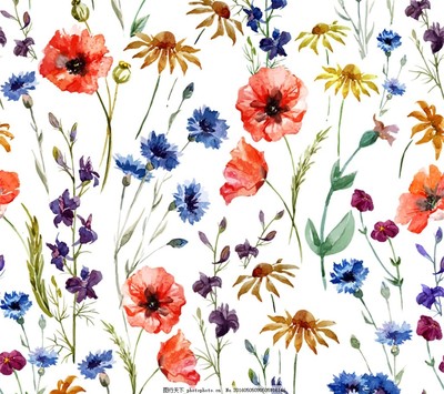 水彩花卉与苗木 绘制生动自然的无缝背景矢量图