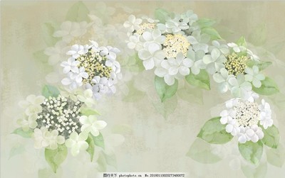 花卉插画与苗木 艺术与自然的诗意交融