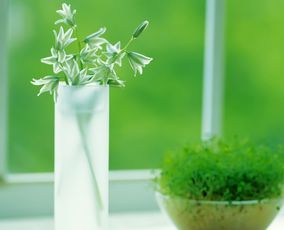 性格脾气好不好，看了这个就知道——蔬菜的隐藏密码